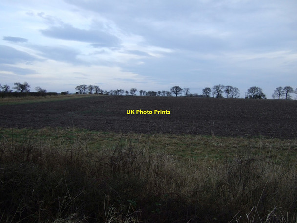 Photo 6"x4" Farmland near Trafford Hill High Worsall c2013