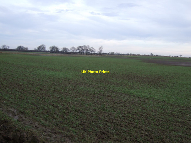 Photo 6"x4" Farmland off Sadberge Road Middleton St George c2013