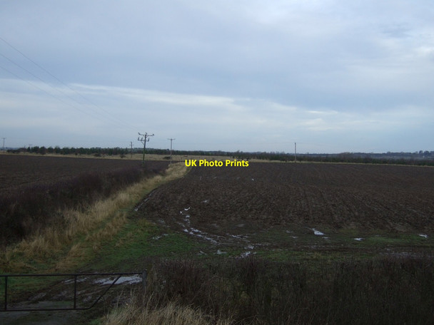 Photo 6"x4" Farmland, Morton Palms Middleton St George c2013