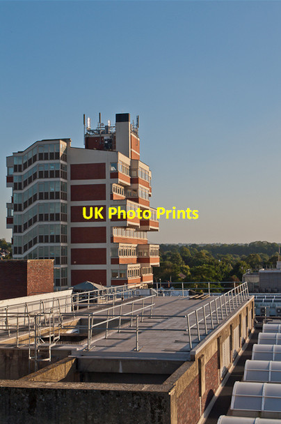 Photo 6"x4" Walnuts rooftops Orpington c2012 P1