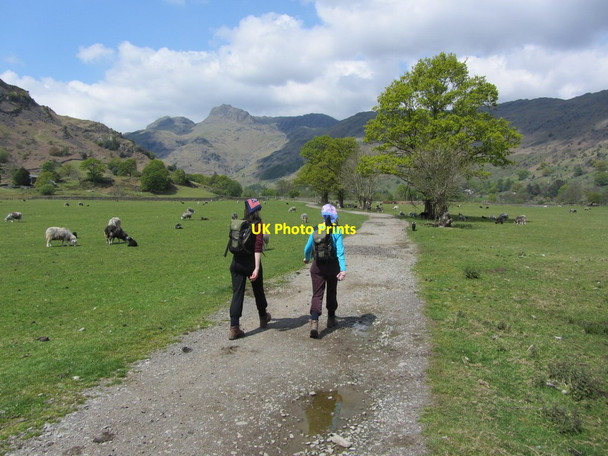 Photo 6"x4" Walking along track by Great Langdale Beck west of Chapel Stile Chapel Stile c2012