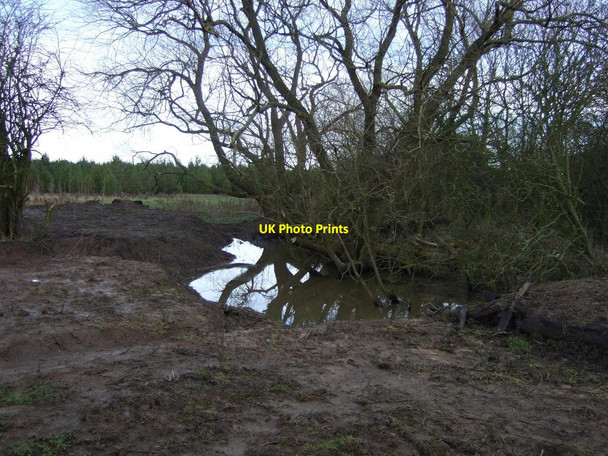 Photo 6"x4" Small pond near beck, Carter Moor Urlay Nook c2013