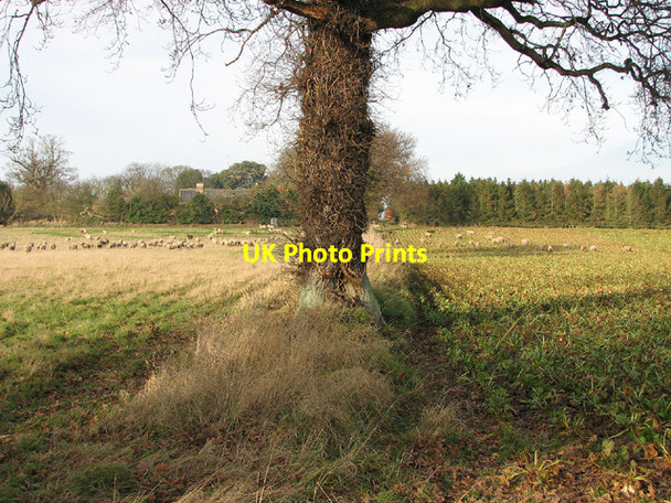 Photo 6"x4" Field boundary by Lodge Farm, Lound Bloodman's Corner c2013