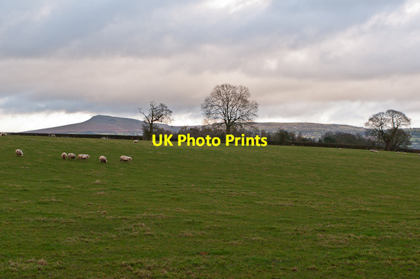 Photo 6"x4" Rock Farm Ludlow c2012