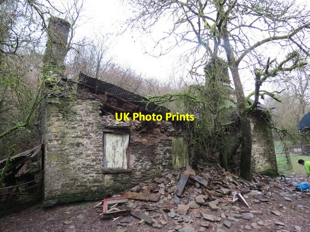 Photo 6"x4" Ffarm Pantyrhyg Farm, Gwernogle Gwernogle c2013