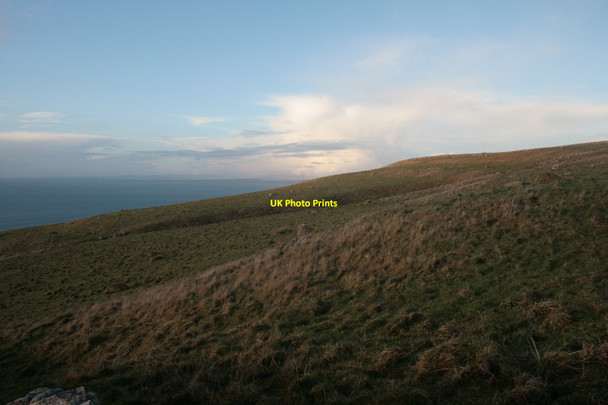 Photo 6"x4" Grassy Hillside Craggagh c2012