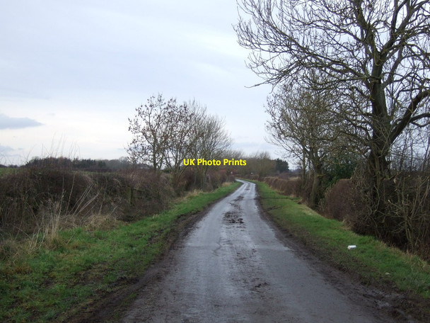 Photo 6"x4" Back Lane towards The Grange Longnewton\/NZ3816 c2013