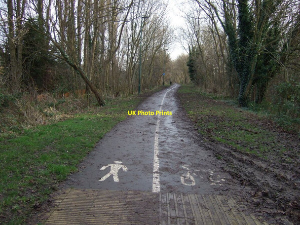 Photo 6"x4" Cycle path on former railway Stockton-on-Tees c2013
