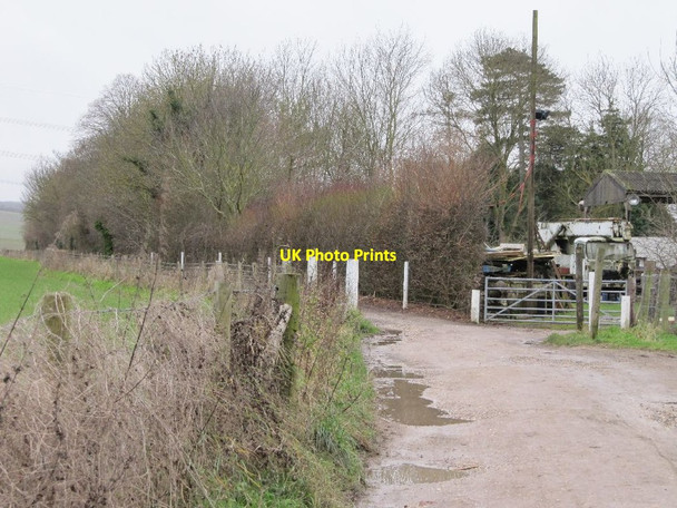Photo 6"x4" Bridleway past Pancroft Cholsey c2012