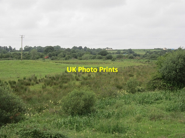 Photo 6"x4" A damp field Barry\/N1560 c2012