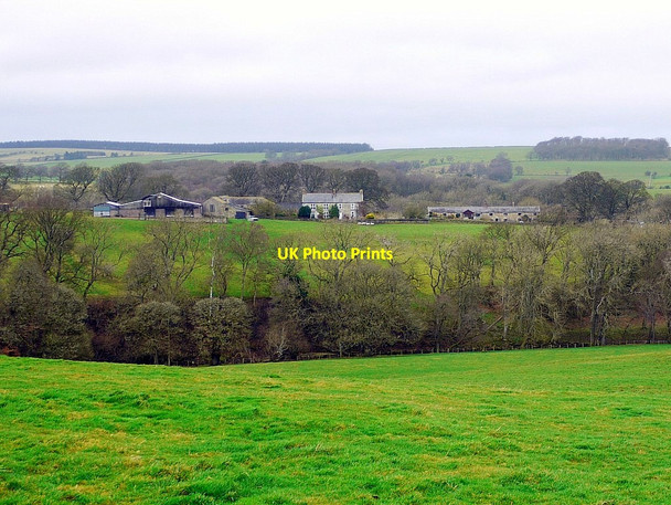 Photo 6"x4" Dalton above Rowley Burn Dalton\/NY9158 c2013