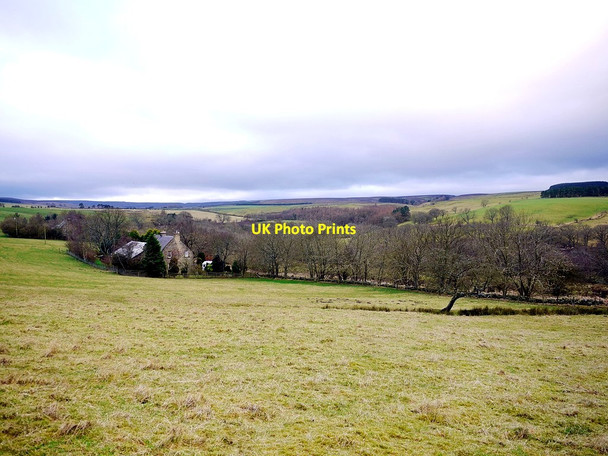 Photo 6"x4" East Lightside Dalton\/NY9158 c2013