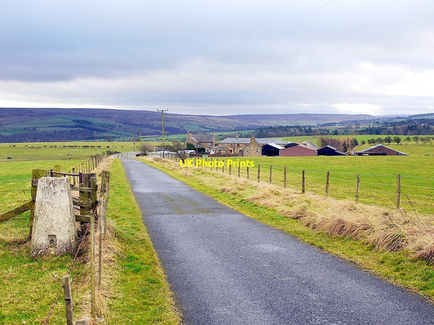 Photo 6"x4" Farm road to Salmon Field Rawgreen c2013