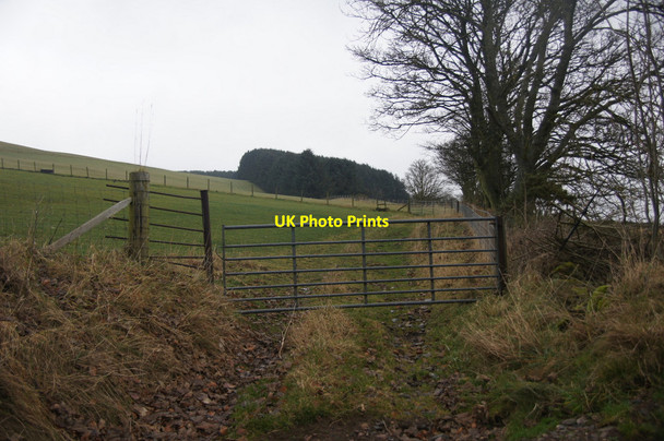 Photo 6"x4" Fields at Easter Hatton, Rattray Blairgowrie c2013