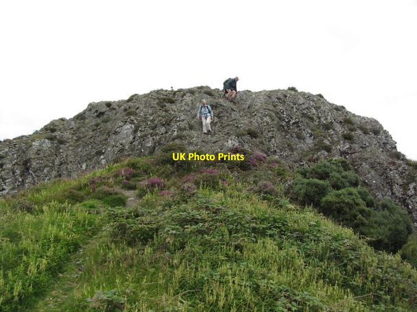 Photo 6"x4" The rocky southwest side of Moel y Golfa near Welshpool Trewern\/SJ2811 c2012