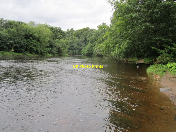 Photo 6"x4" River Wear Great Lumley c2012