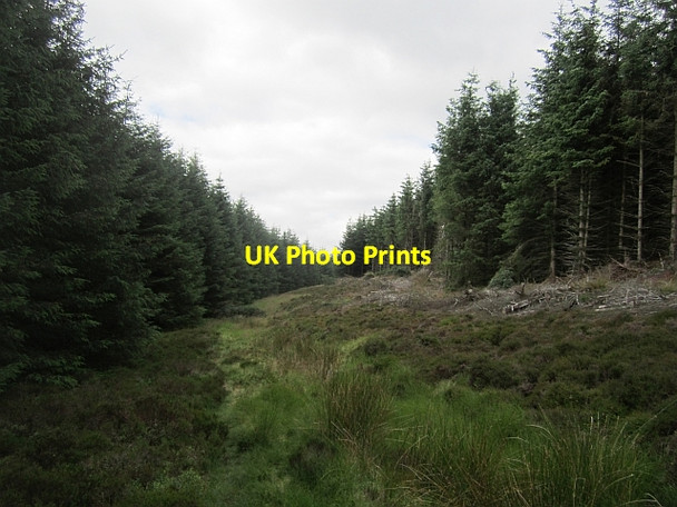 Photo 6"x4" Ride, Black Hill Dalqueich c2012