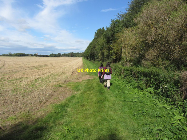 Photo 6"x4" Walking below Severn Bank Wood, Severn Stoke Severn Stoke c2012