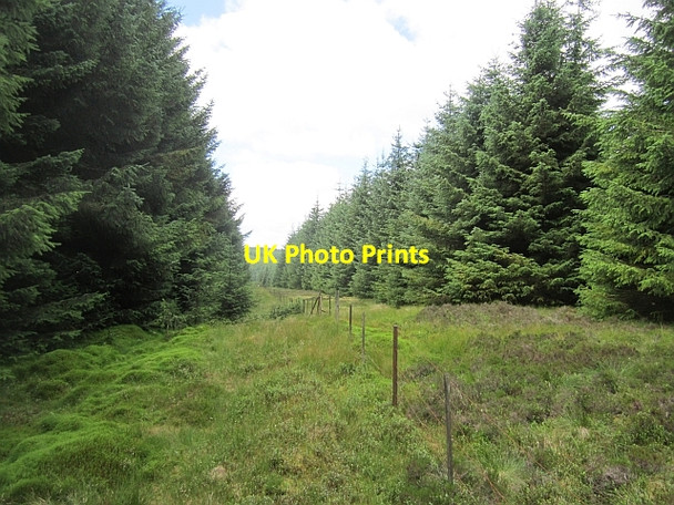 Photo 6"x4" Ride, Heads Hill Carnbo c2012