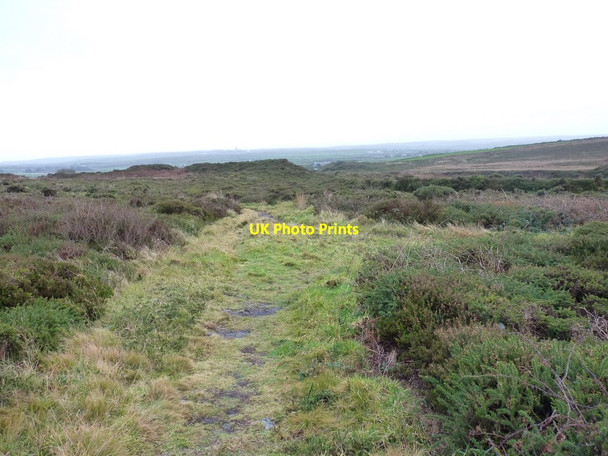 Photo 6"x4" Footpaths and heather on the SE side of Bartinney Down Brane c2012