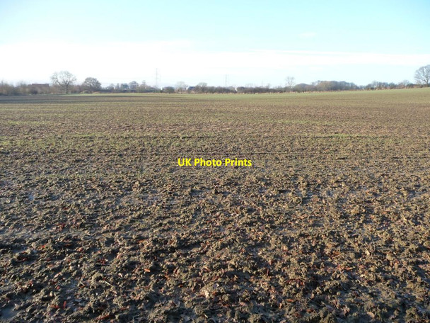 Photo 6"x4" Greening field north of Elm Farm, Hungate Hungate\/SE3726 c2013