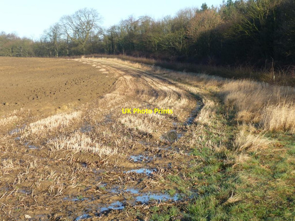Photo 6"x4" Waterlogged stubble at a field's edge Hungate\/SE3726 c2013