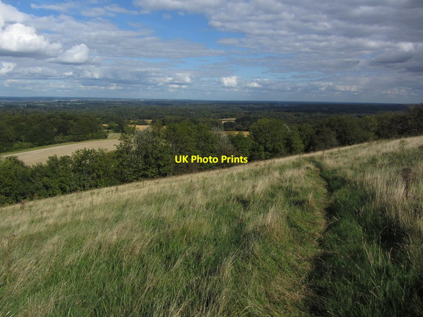 Photo 6"x4" Path leading up to Pilot Hill - view east across Berkshire East Woodhay c2012
