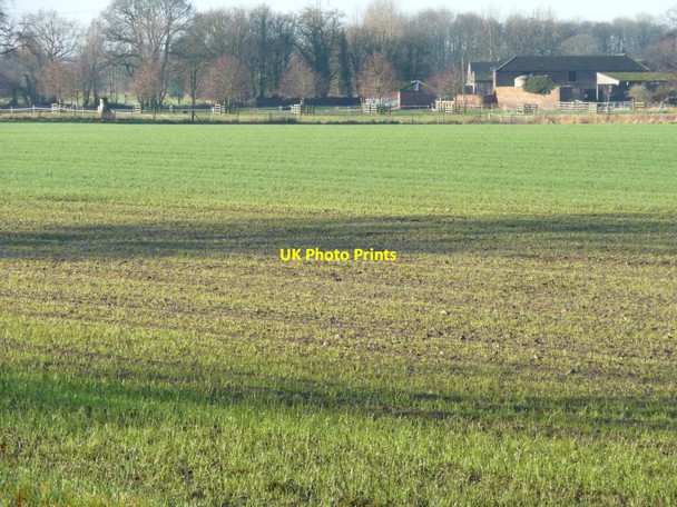 Photo 6"x4" Farmland east of Park Farm Hungate\/SE3726 c2013