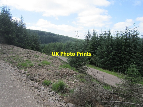 Photo 6"x4" Two logging roads Path of Condie c2012