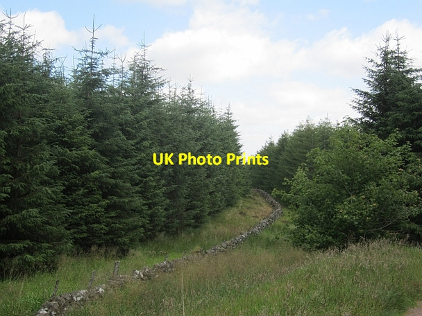 Photo 6"x4" Old dyke Path of Condie c2012