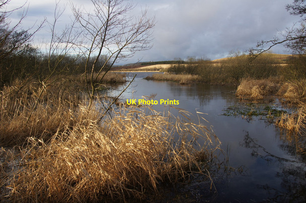 Photo 6"x4" East end of Loch of Kinnordy Kirriemuir c2012