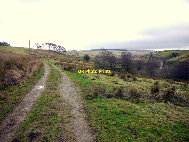 Photo 6"x4" Long Drag near Crabtree Ford Rawgreen c2013