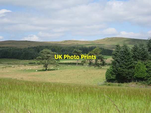 Photo 6"x4" Grassland, Whistlebare Dalqueich c2012
