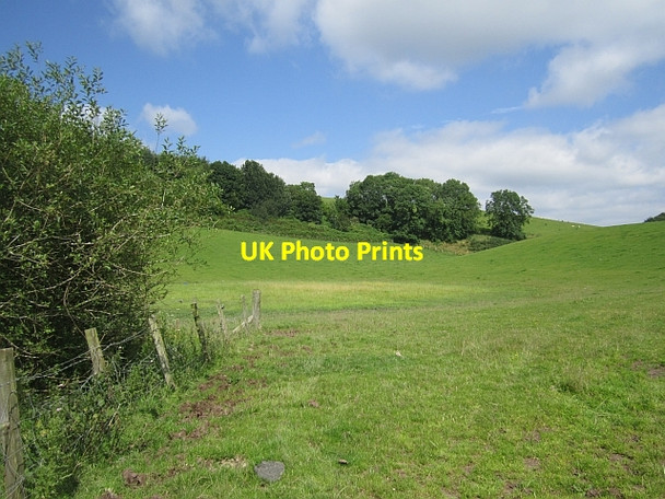 Photo 6"x4" Grassland, Seggiebank Dalqueich c2012