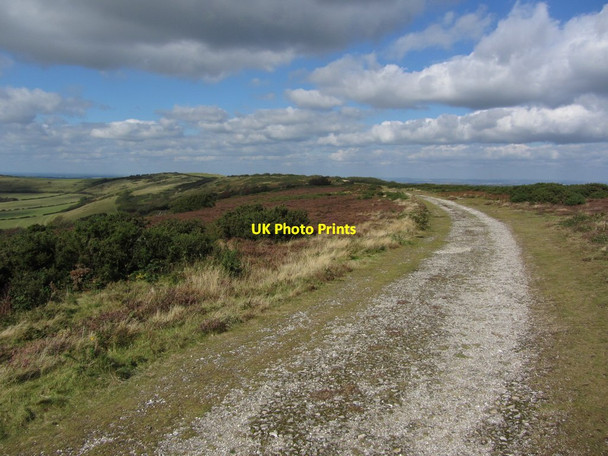 Photo 6"x4" Track leading north along Luccombe Down near Ventnor, IOW Shanklin c2012