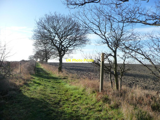 Photo 6"x4" Waymark on the footpath to Hollinthorpe Hollinthorpe c2013