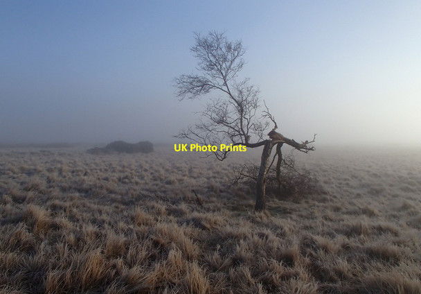 Photo 6"x4" Misty moorland morning Upper Loads c2013