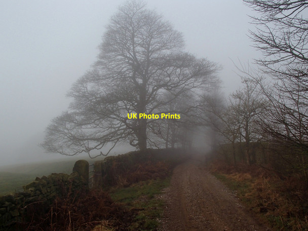 Photo 6"x4" Track to Beeley Hilltop Beeley c2013