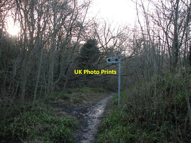 Photo 6"x4" Path junction Loanhead\/NT2765 c2012
