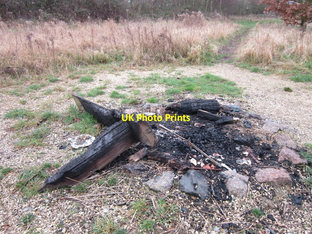 Photo 6"x4" The Community Woodland on Noddle Hill Way, Hull Sutton-on-Hull c2013