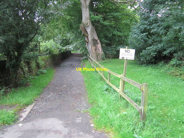 Photo 6"x4" Path to River Bank Middleton in Teesdale c2012