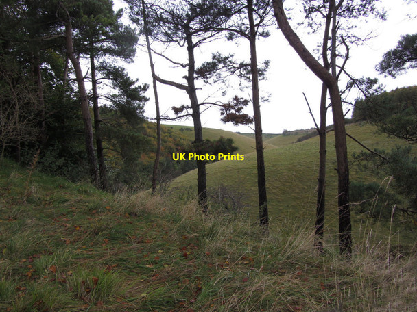 Photo 6"x4" Upper end of Deep Dale, east of Bishop Wilton Painsthorpe c2012