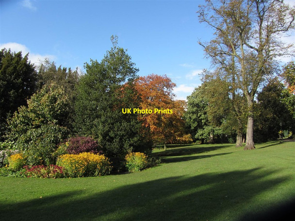Photo 6"x4" York - Autumn colours - Museum Gardens York\/SE5951 c2012