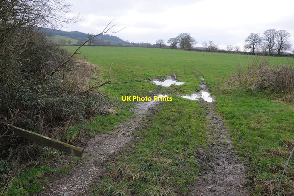 Photo 6"x4" Farmland at Colethorpe Colethrop c2013