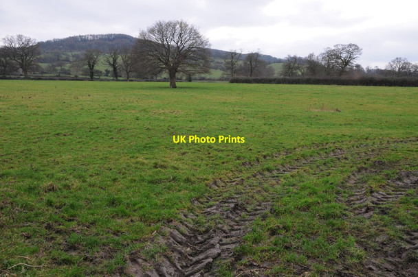 Photo 6"x4" Farmland near Harescombe Harescombe c2013