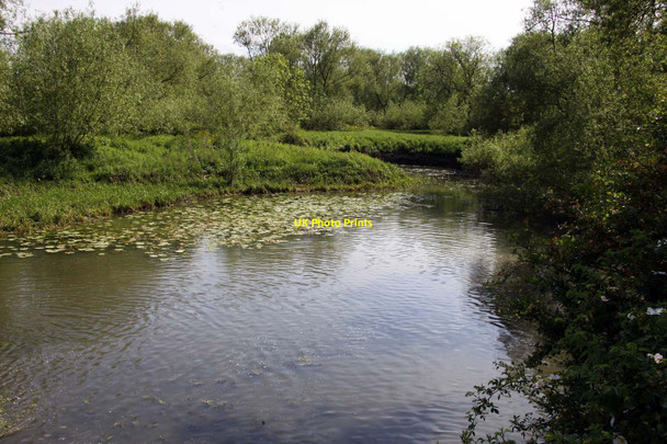 Photo 6"x4" A backwater of the Thames at Sandford Sandford-on-Thames c2012