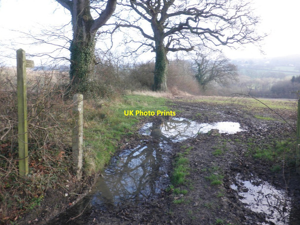 Photo 6"x4" Footpath, leading from Parsonage Lane Curland c2013