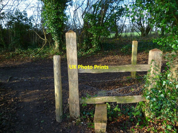 Photo 6"x4" Footpath reaches bridleway south of Nore Wood Eartham c2013