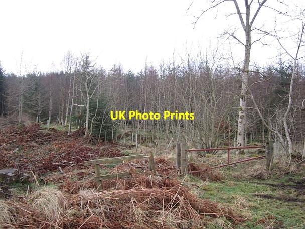 Photo 6"x4" Woodland above Melrose Melrose\/NT5434 c2013