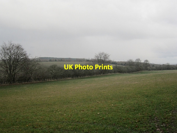 Photo 6"x4" Field beside the West Burn Bowden\/NT5530 c2013